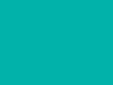 Robison-Anton Polyester - 5792 J. Turquoise